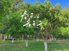 -后襄河公园
