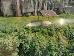 -无锡动物园·太湖欢乐园
