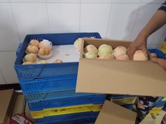 -老袁家蜜桃农场·阳山水蜜桃