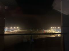 -南京禄口机场雅高铂尔曼大酒店