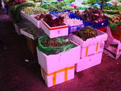 -桃源市场(解放路店)
