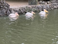 -黔灵山公园