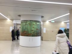 -泰州市人民医院(总院区)