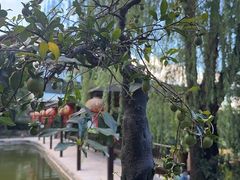 -欢乐迪KTV(观音桥未来国际店)