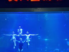 -福州罗源湾海洋世界旅游区