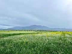 -扁都口生态休闲旅游区