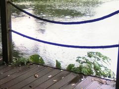 -南宁良凤江国家森林公园