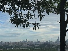-火炉山森林公园