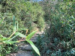 -杭州半山国家森林公园