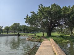 -海上田园