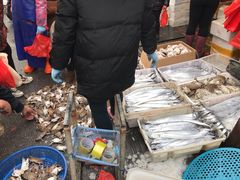 -芦潮港集贸市场