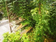 -呼吸森林·生态农庄农家乐私房菜