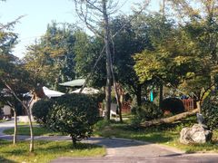 -洪湖家庭农场·团建·露营·会议
