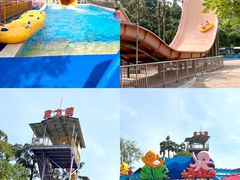 -重庆海昌加勒比海水世界