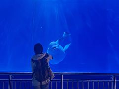 -多彩贵州城极地海洋世界