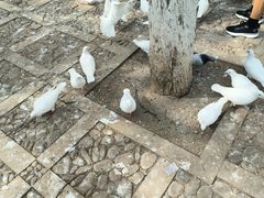 -昆明动物园