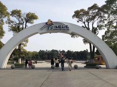 -上海鲜花港