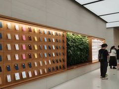 -Apple零售店(苏州店)