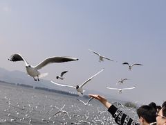 -滇池海埂公园