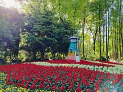 -上海共青森林公园