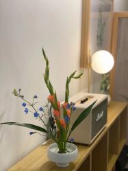 -彤竹瑜伽普拉提馆·女子孕产健身会所