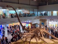 -自贡恐龙博物馆