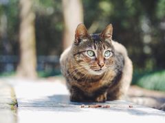 -苏州河梦清园环保主题公园