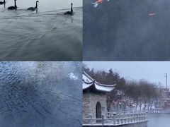 -百泉景区