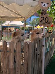 -萌宠亲子动物乐园(槐房万达店)