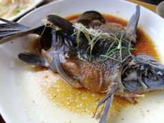 -马帮菜馆·美味野生菌