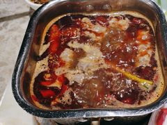 -清真军邺·金富苑肥牛(石坡街旗舰店)