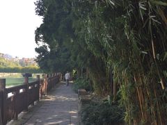-成都市活水公园