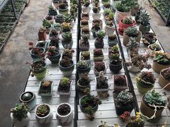 -甜心庄园·甜心草莓采摘园(西青中北店)