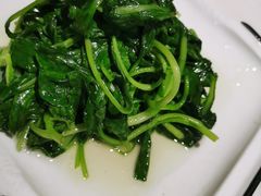 清炒鸡毛菜-19号私房菜(云南路店)