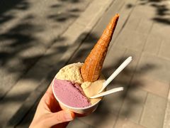 -Dip in Gelato(富民路店)