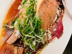 清蒸东星斑-北京四季酒店·采逸轩