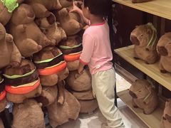 -廊坊固安福朋喜来登酒店