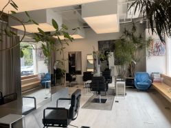 -Hair  Gallery