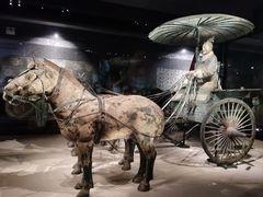 -秦始皇帝陵博物院(兵马俑)