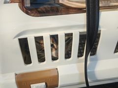 -拜鲁耶动物诊疗中心·宠家动物医院