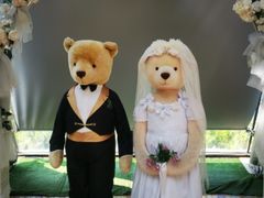 -济州岛泰迪熊博物馆