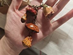 -芸山季·云南野生菌火锅(人民广场来福士店)