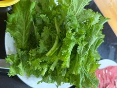 -银同牦牛肉火锅