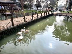 -苏州香山国际大酒店