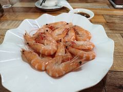 -东鸽皇(奥园·中环广场店)