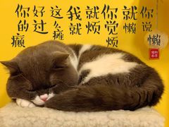 二饼-22cafe