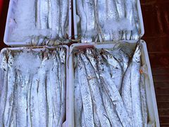 -芦潮港集贸市场