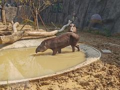 -武汉动物园