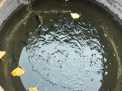 -金沙湖旅游度假区
