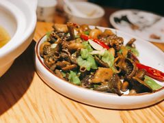 -滇铺子·云南特色菜·第九届野生菌美食节(东风东路c86店)